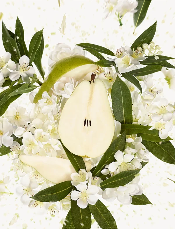 Flora Gorgeous Gardenia Perfume 50 ML - Eau de parfum - Image 6