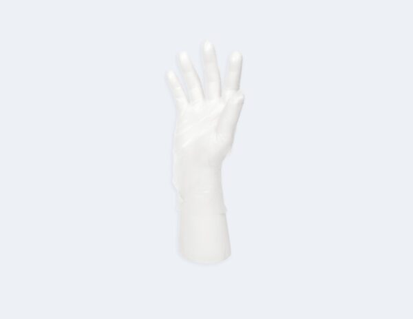 Disposable LDPE/HDPE Gloves - Image 3